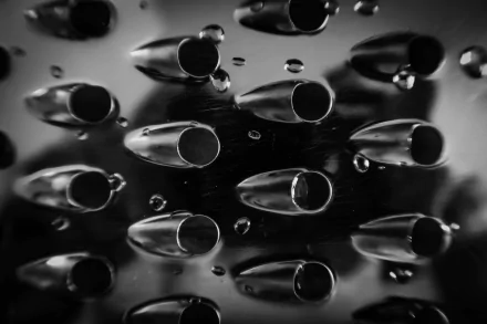 close-up photography HD Desktop Wallpaper | Background Image