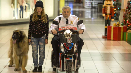  Grumpy Cat and the Mall Cop by Chris Helcermanas-Benge