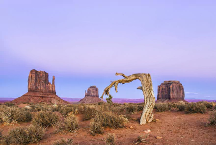 desert nature monument valley HD Desktop Wallpaper | Background Image