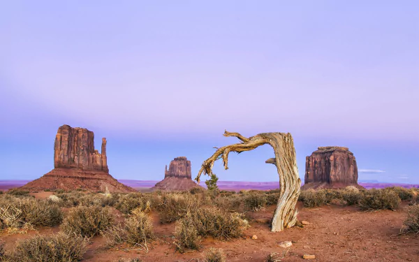 4K Ultra HD PC desktop wallpaper showcasing Monument Valley's iconic desert landscape with towering sandstone buttes and a twisted, leafless tree under a soft purple sky.