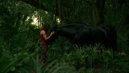 Evangeline Lilly TV Show lost HD Desktop Wallpaper | Background Image