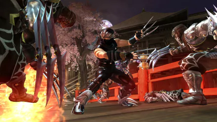video game Ninja Gaiden Black HD Desktop Wallpaper | Background Image