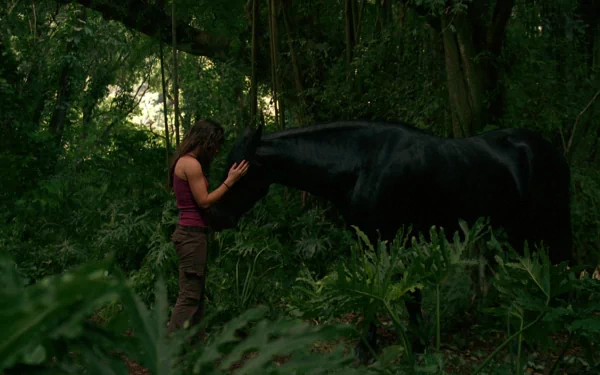 Evangeline Lilly TV Show lost HD Desktop Wallpaper | Background Image