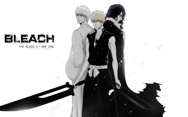 HD wallpaper featuring Zangetsu, Hollow Ichigo, and Ichigo Kurosaki from the anime Bleach, showcasing their iconic poses with katana and striking black and white artistry.