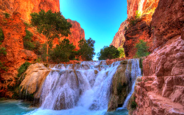 4K Ultra HD image of a waterfall cascading through the Grand Canyon, surrounded by red rock cliffs and lush greenery under a clear blue sky.