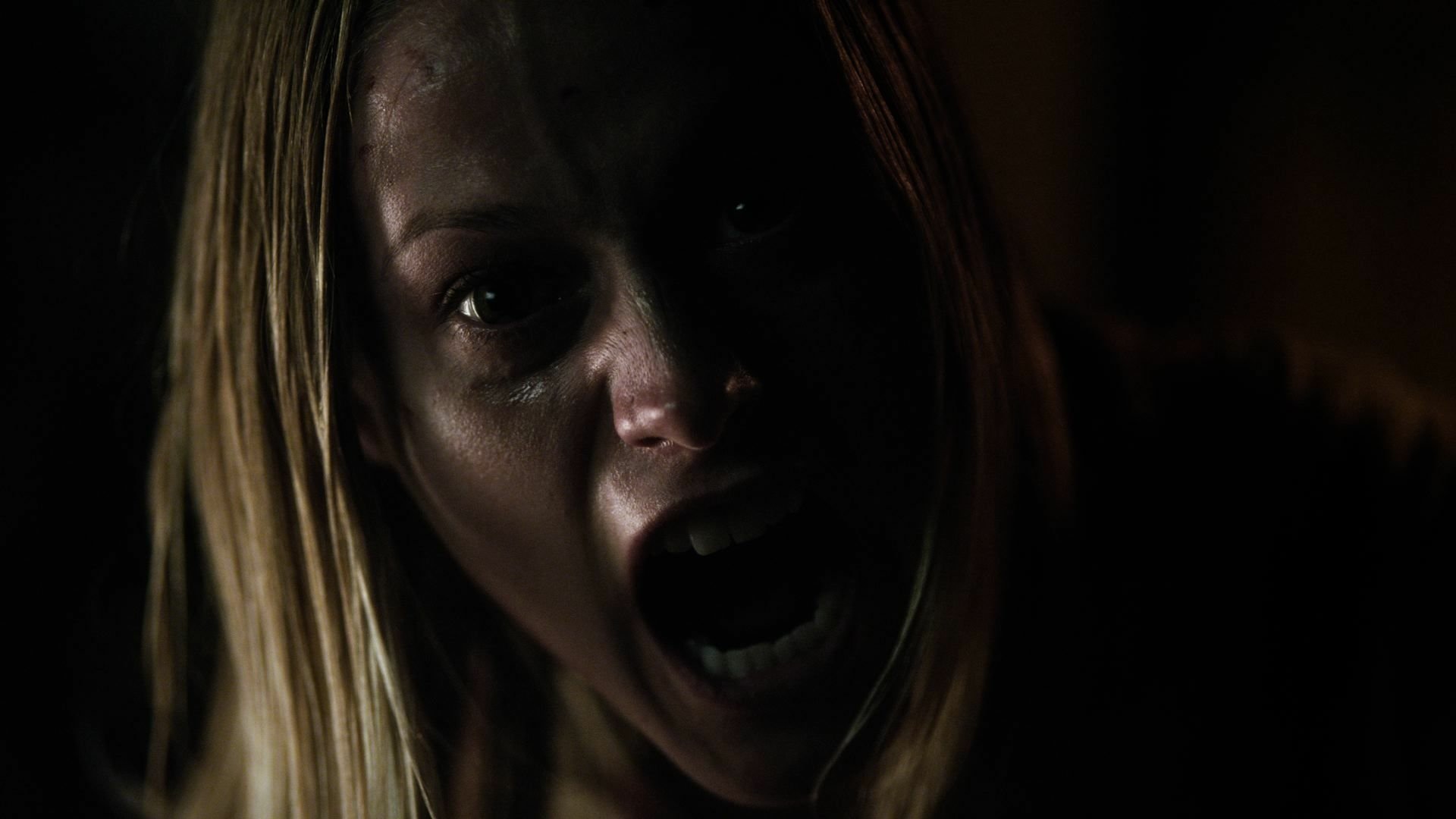 Download Movie The Vatican Tapes HD Wallpaper