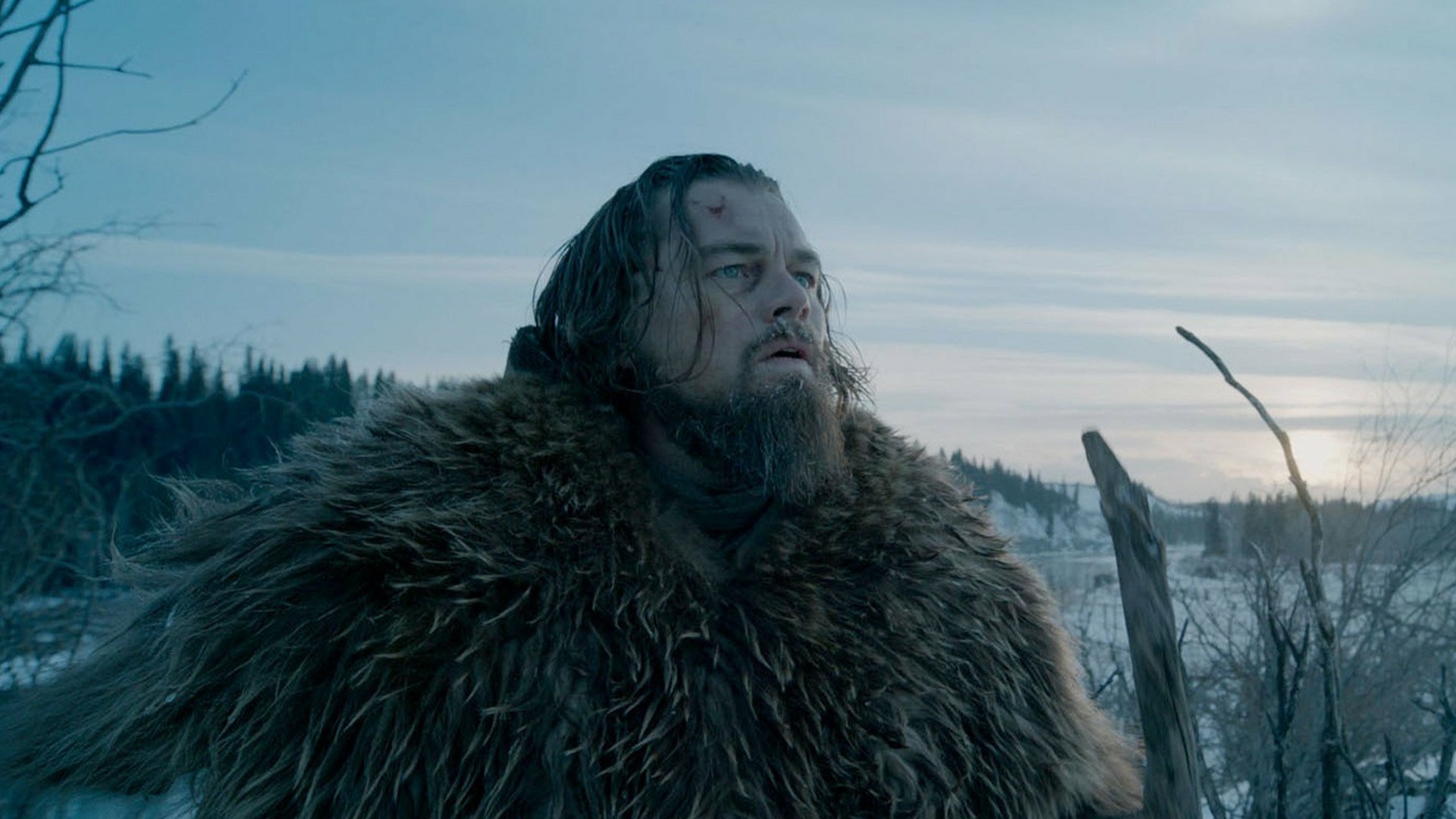 Download Movie The Revenant HD Wallpaper