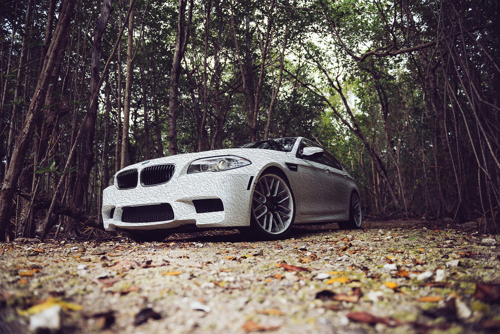 White BMW M5 parked on a forest path surrounded by tall trees, captured in high-definition detail as a PC desktop wallpaper and background.