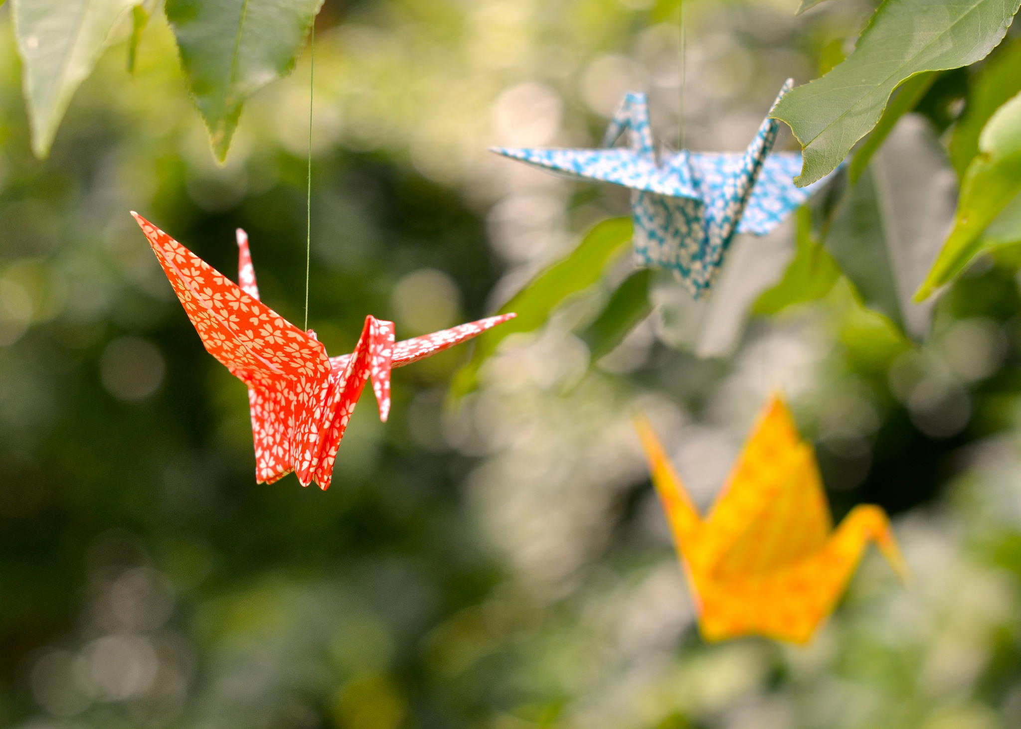 Download Leaf Bokeh Bird Man Made Origami HD Wallpaper