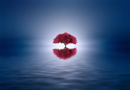 A vibrant, lonely tree with bright pink foliage stands in calm waters, creating a stunning reflection against a deep blue backdrop, designed as an artistic HD desktop wallpaper.