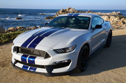 White Ford Mustang Shelby GT350 muscle car with blue racing stripes parked by rocky coastline, captured in 4K Ultra HD for PC desktop wallpaper and background.