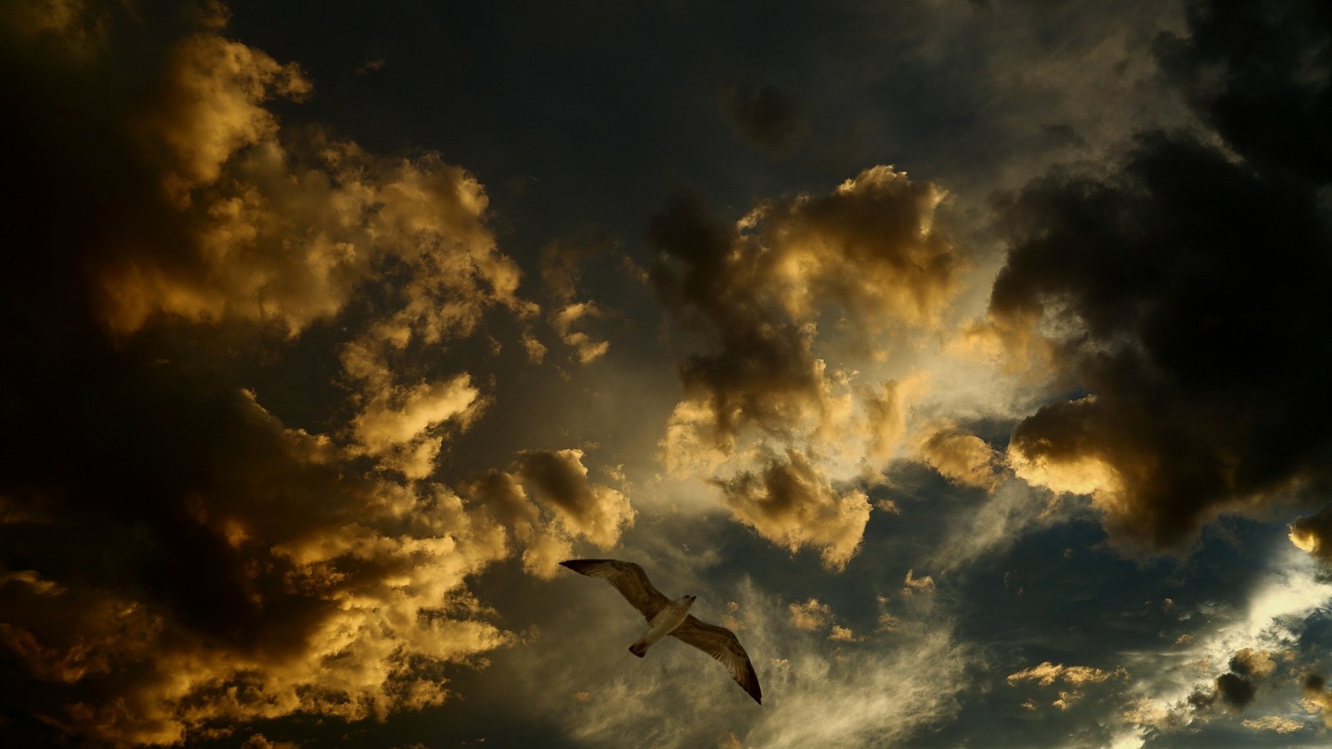 Download Nature Cloud HD Wallpaper