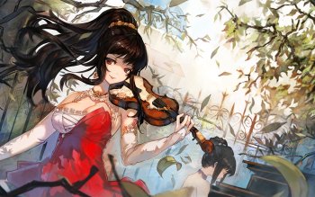 99 Violin HD Wallpapers | Background Images - Wallpaper Abyss