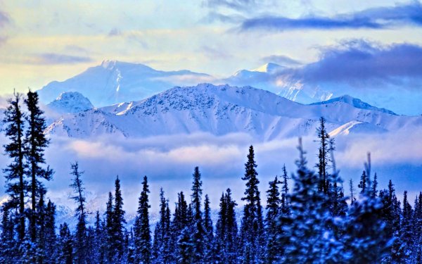Earth Mountain Mountains Nature Landscape Forest Cloud Winter Snow HD Wallpaper | Background Image