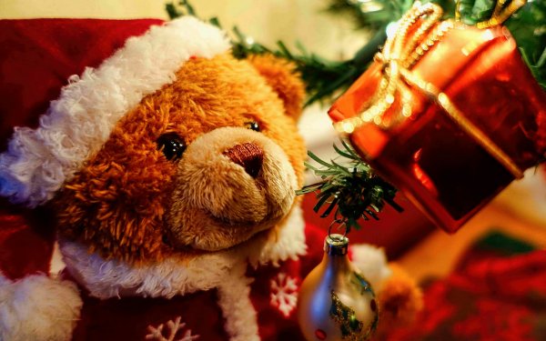 Holiday Christmas Christmas Ornaments Santa Hat Teddy Bear HD Wallpaper | Background Image