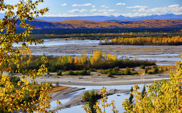 Autumn Alaska landscape: river with sandbars, golden forest in foreground, clouds over distant mountains on the horizon — HD PC desktop wallpaper background.