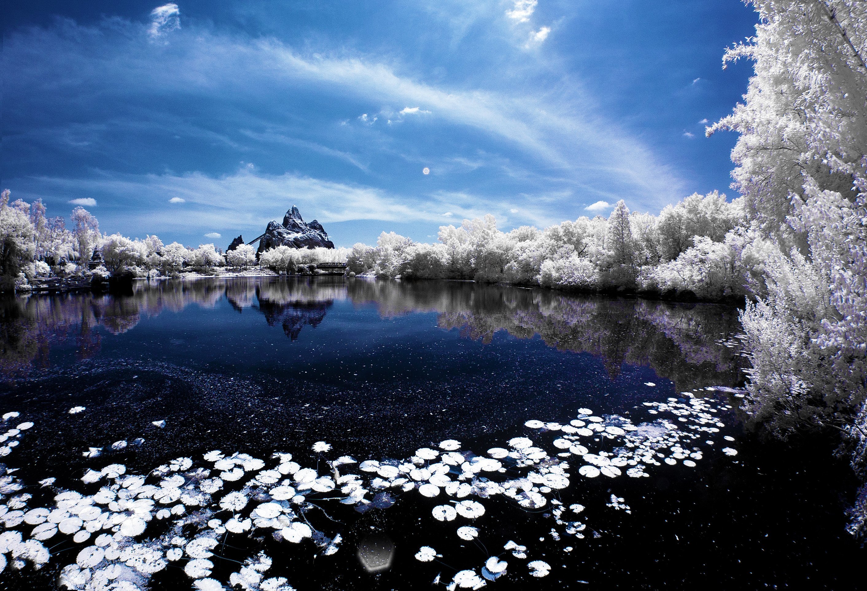 Infrared Photography lake and flowers