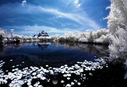  Infrared Photography lake and flowers