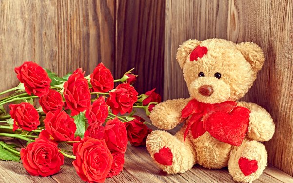 Holiday Valentine's Day Teddy Bear Love Flower Red Rose Rose HD Wallpaper | Background Image