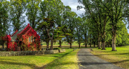 A serene 4K Ultra HD desktop wallpaper featuring a tree-lined road in fall with green grass, a vine-covered church, and vibrant natural colors.