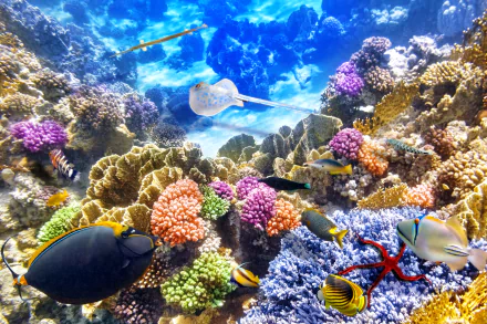 A vivid underwater scene showcasing a stingray gliding over colorful coral, surrounded by various fish and marine life in a breathtaking 4K Ultra HD background.