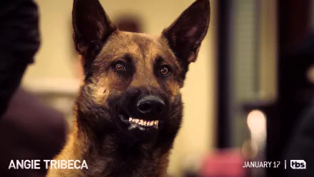  Tanner's canine partner