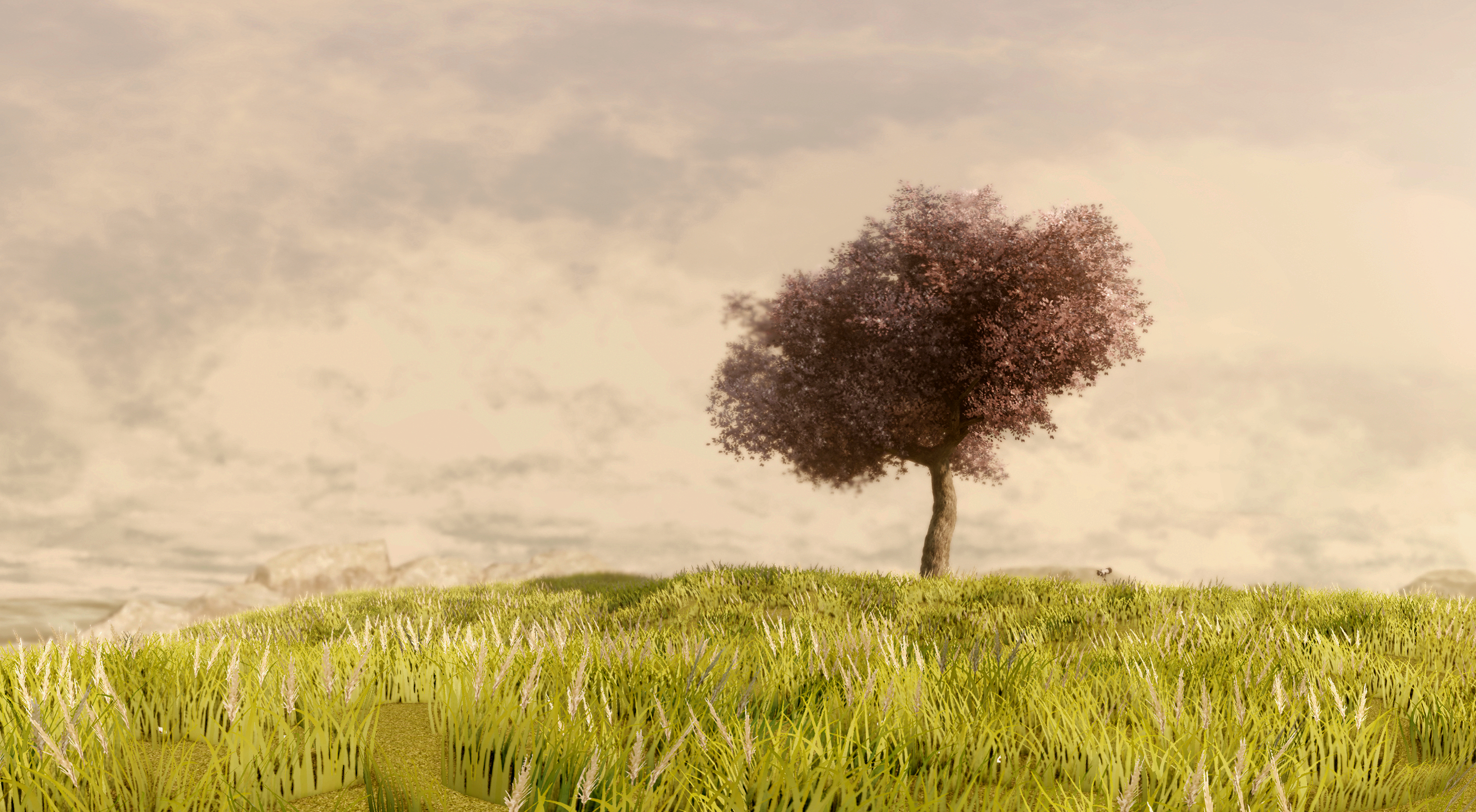 230+ Lonely Tree HD Wallpapers and Backgrounds