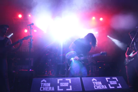  bull of phalaris grupo Hurtado luz