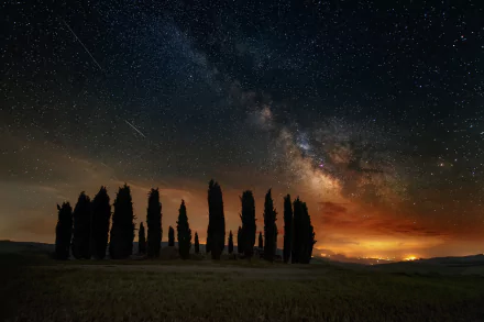 Night sky over a Tuscany landscape in Italy, featuring silhouetted trees beneath a vivid Milky Way filled with stars, creating a stunning sci-fi inspired HD desktop wallpaper.