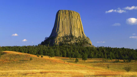 HD desktop wallpaper showing Devil's Tower rising above trees and cliffs under a clear blue sky in a natural landscape.