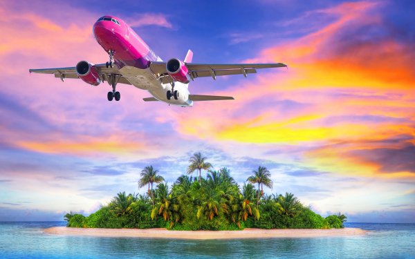 Vehicles Airbus A320 Aircraft Airbus Island Tropical Ocean Palm Tree Airplane Sunset Sky orange HD Wallpaper | Background Image