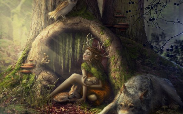 Fantasy Forest Elf Wolf Fawn Rabbit Owl Tree HD Wallpaper | Background Image