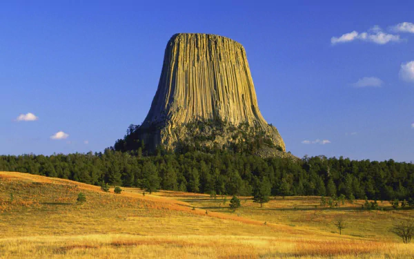 HD desktop wallpaper showing Devil's Tower rising above trees and cliffs under a clear blue sky in a natural landscape.