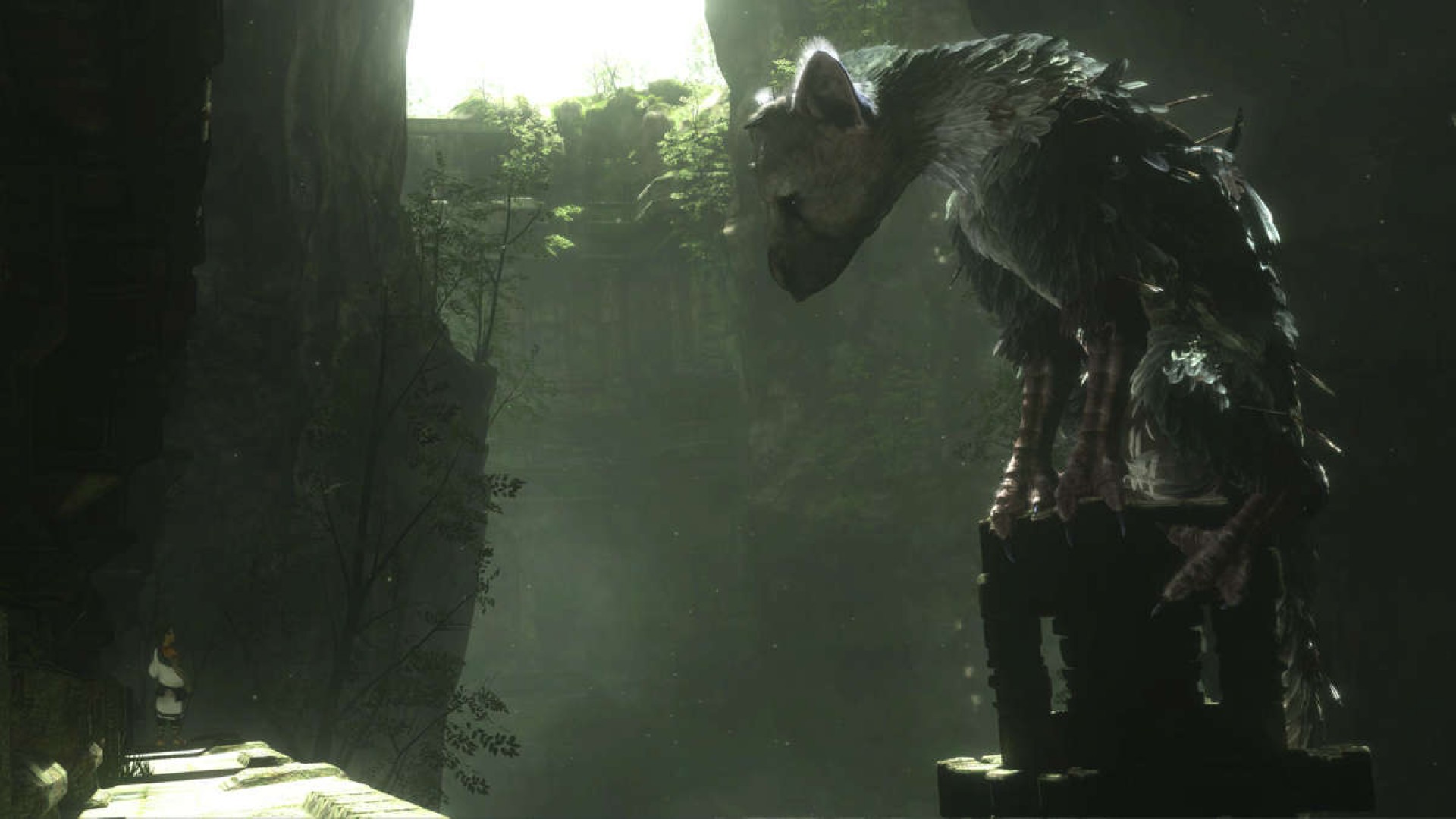 20+ The Last Guardian HD Wallpapers and Backgrounds