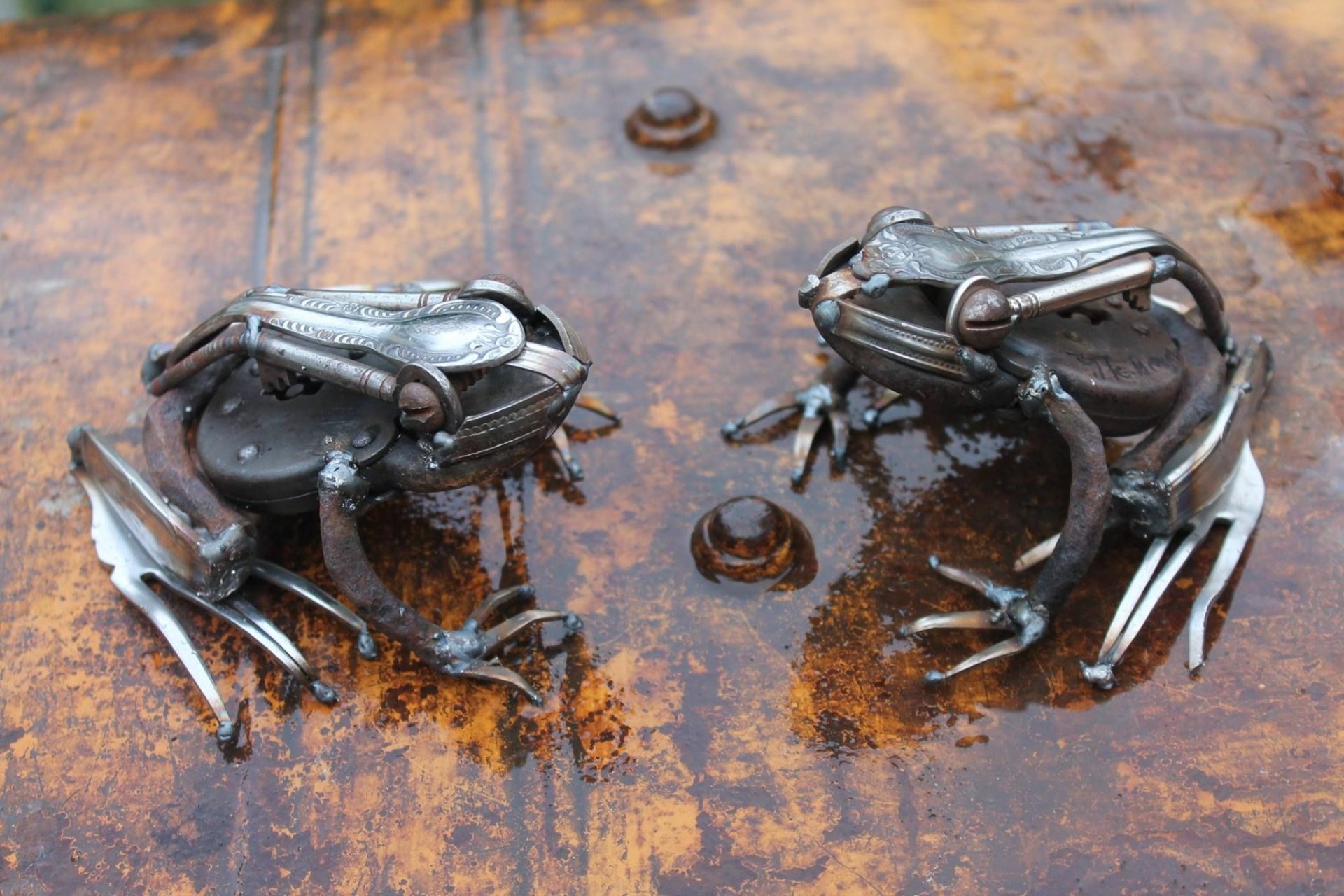 Download Frog Scrap Metal Art Man Made Sculpture HD Wallpaper by John Brown