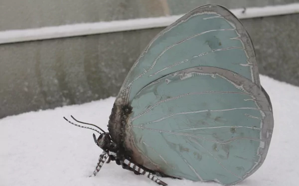  scrap metal art by John Brown