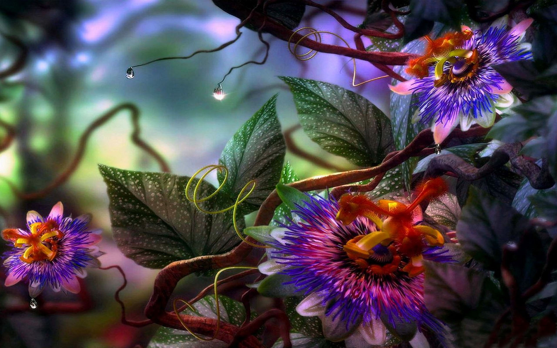 9 Passion Flower HD Wallpapers | Background Images - Wallpaper Abyss