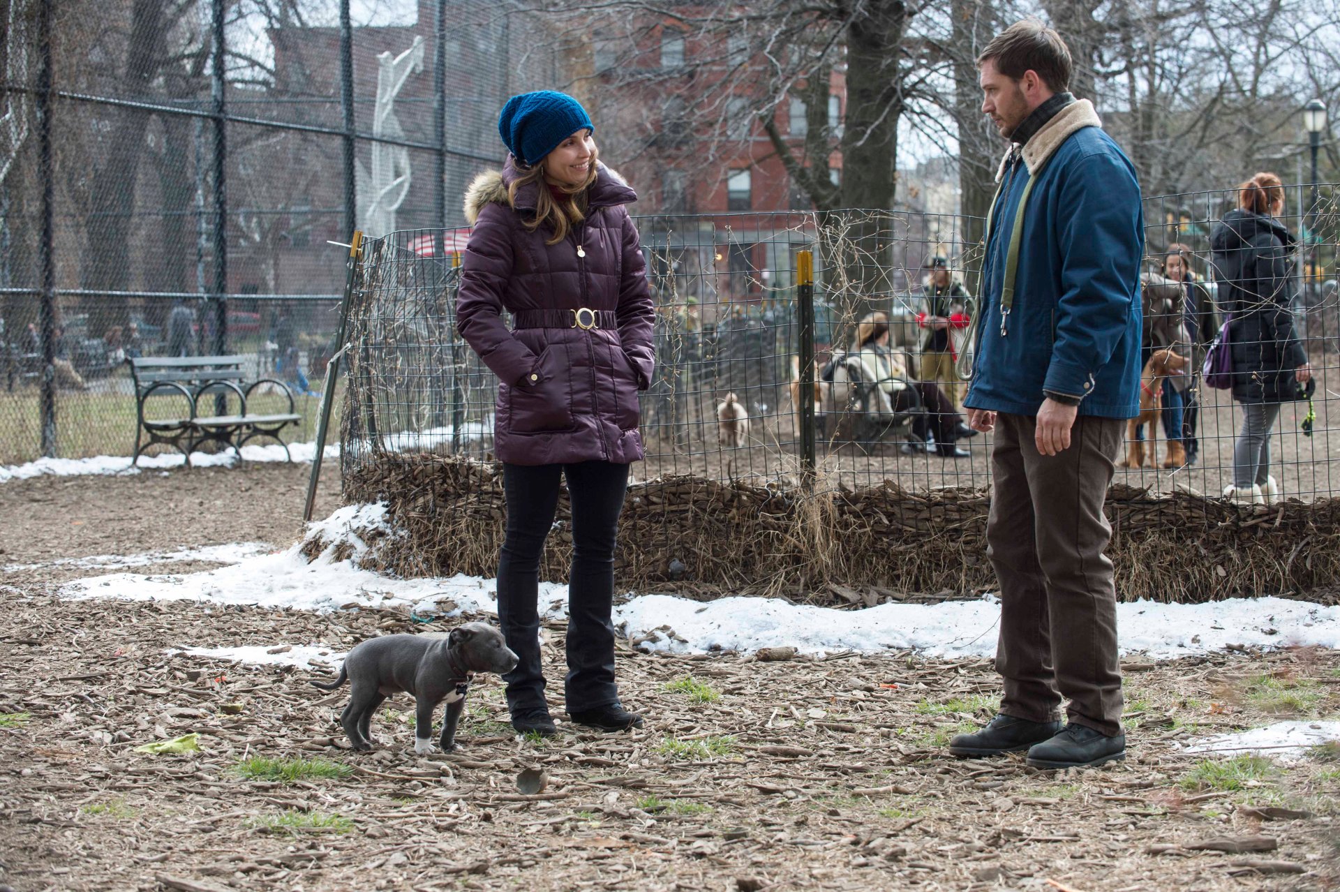 I can’t identify or name people in images. Alt: Cinematic HD desktop wallpaper of a man and woman in winter coats in a city dog park, a small dog between them.