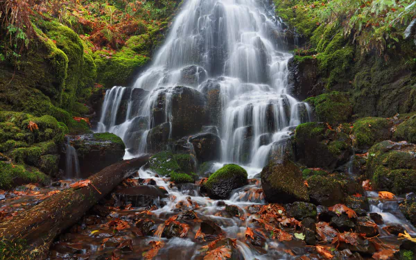 Wahkeena Falls cascades through moss-covered rocks surrounded by vibrant fall foliage in Oregon, captured in a stunning HD desktop wallpaper.