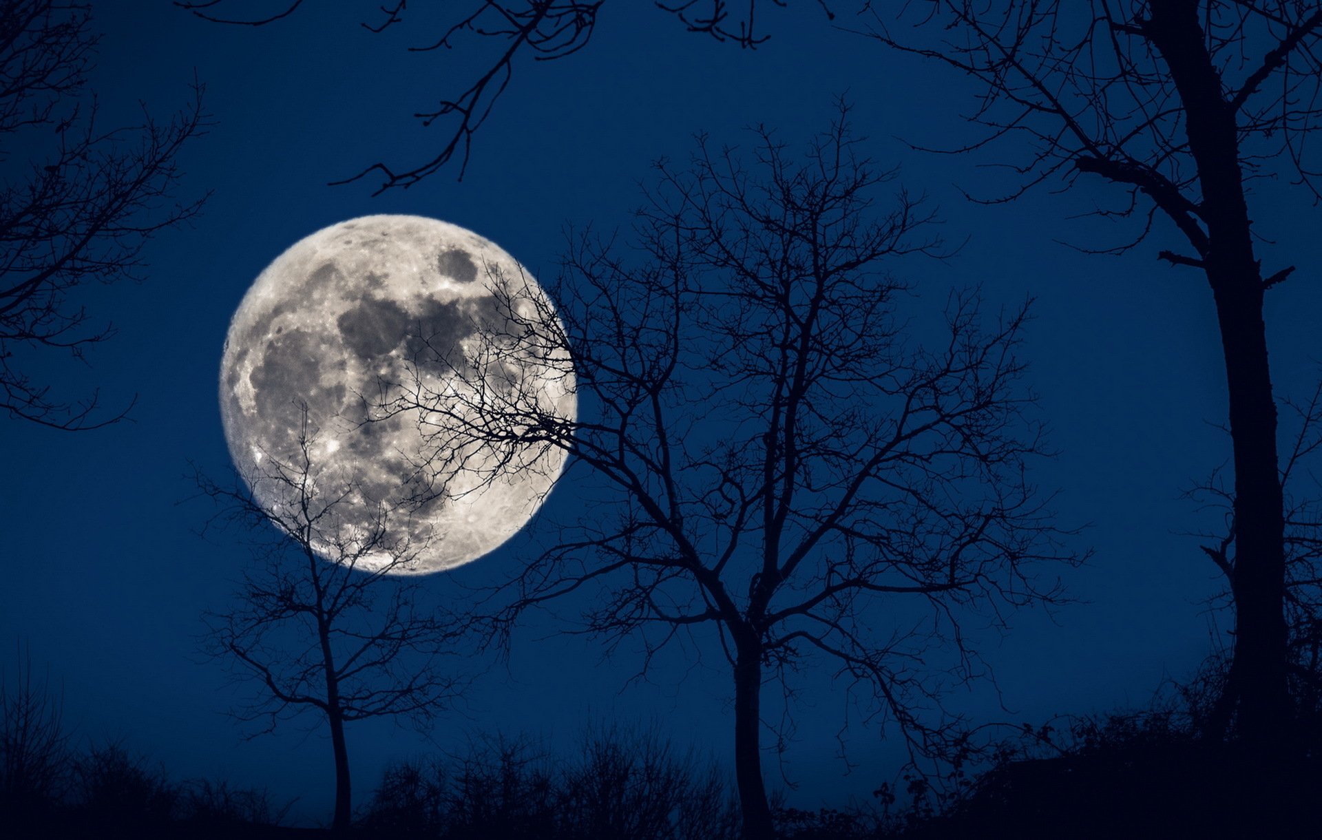 Full moon march. Ночь Луна. Ночь полнолуния.