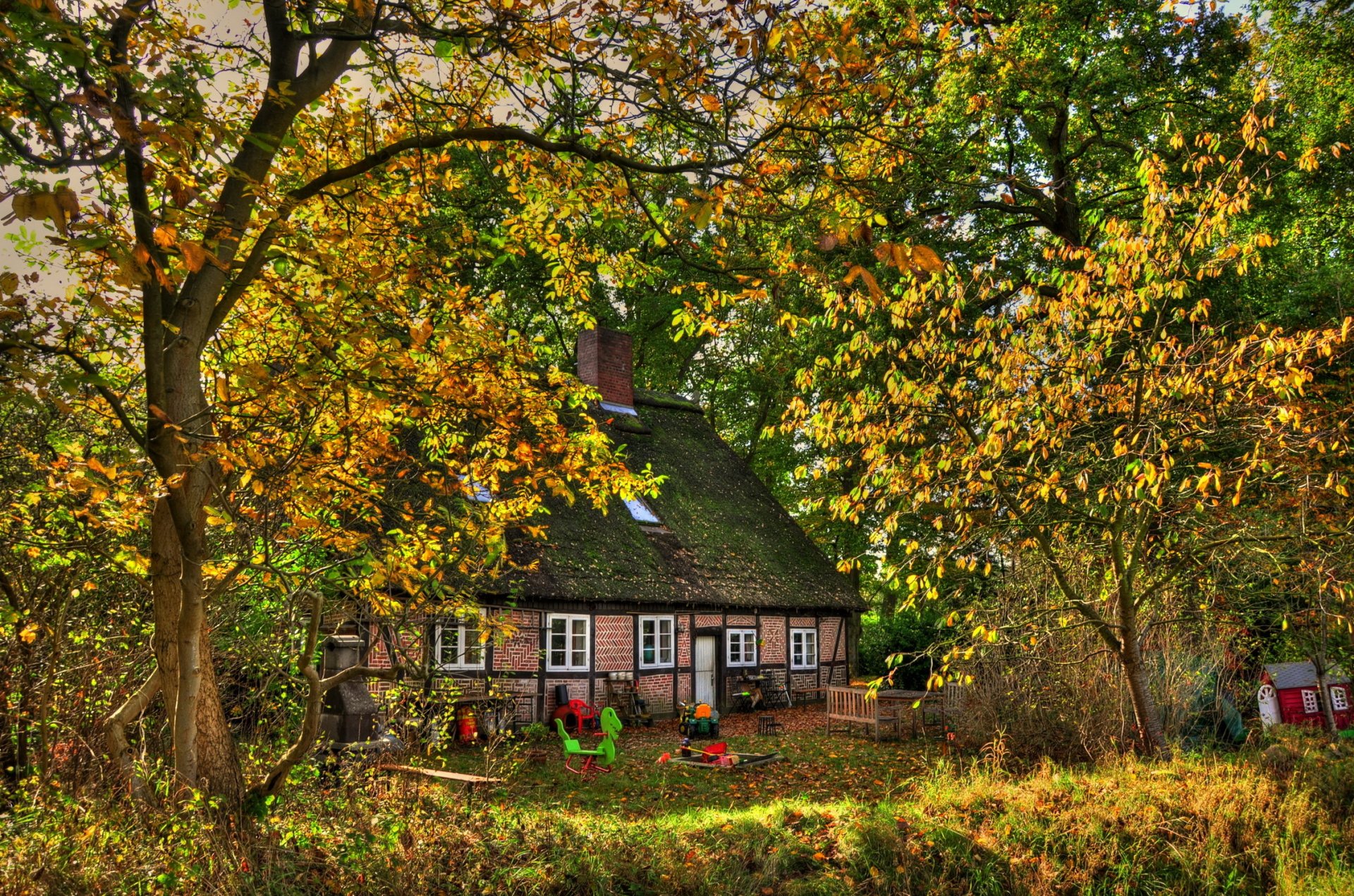 Download Thatched Roof Forest Tree Man Made House HD Wallpaper