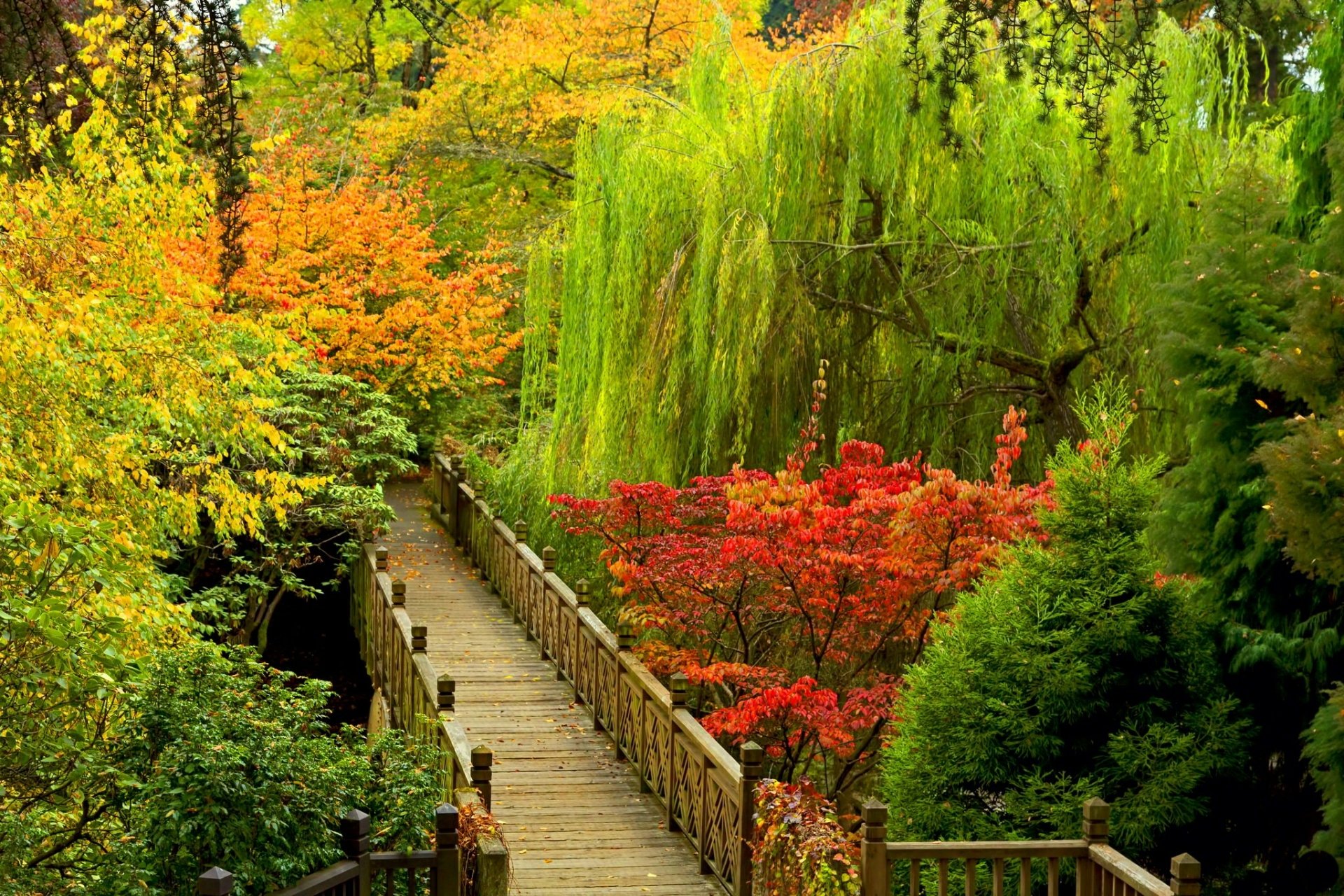 Bridge In Autumn Park Hd Wallpaper Background Image 2048x1365 Id