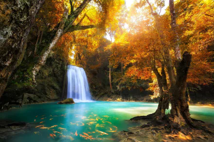 A tranquil tropical scene at Erawan Waterfall in Thailand, featuring a turquoise pond surrounded by vibrant autumn foliage and gentle cascading water, teeming with fish.