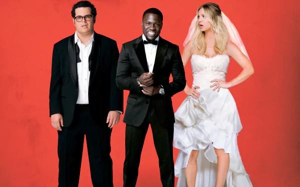 movie The Wedding Ringer HD Desktop Wallpaper | Background Image