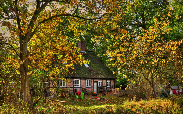  Cute House surrounded by Trees