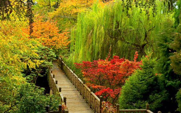 A vibrant walkway through a colorful park in autumn, featuring blossoming trees in shades of red, orange, and green, with a serene bridge enhancing the picturesque scene.