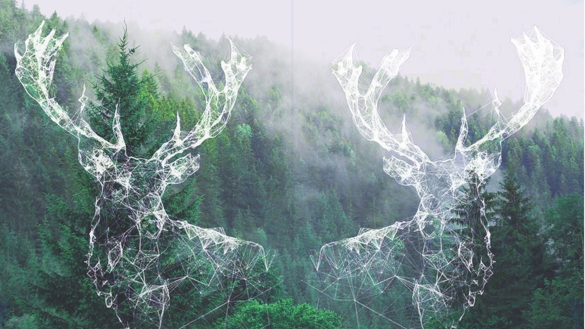 HD PC desktop wallpaper featuring a digital art depiction of two transparent deer antlers over a misty forest background.