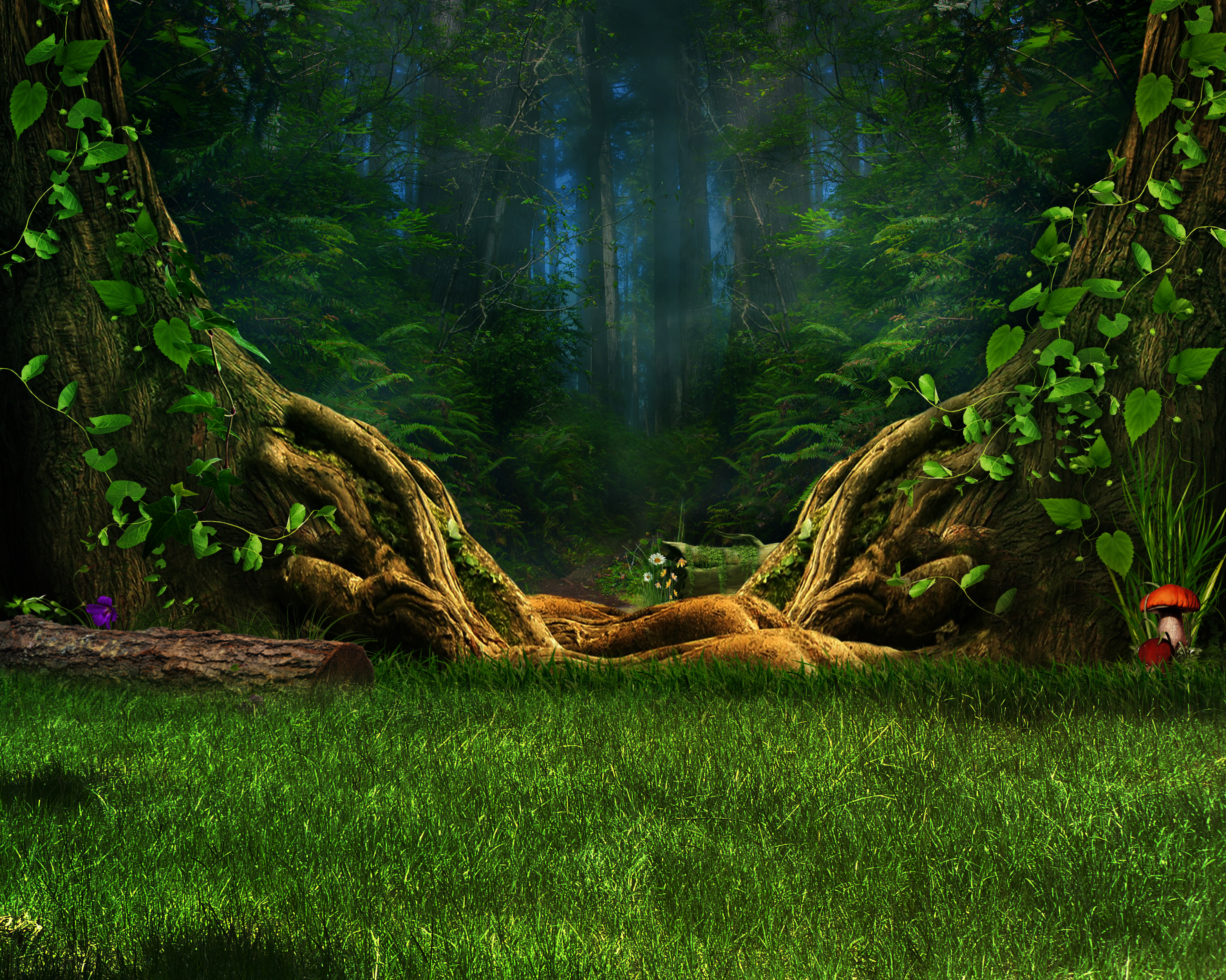 enchanted forest hd wallpaper background image 3000x2400 id 688657 wallpaper abyss enchanted forest hd wallpaper