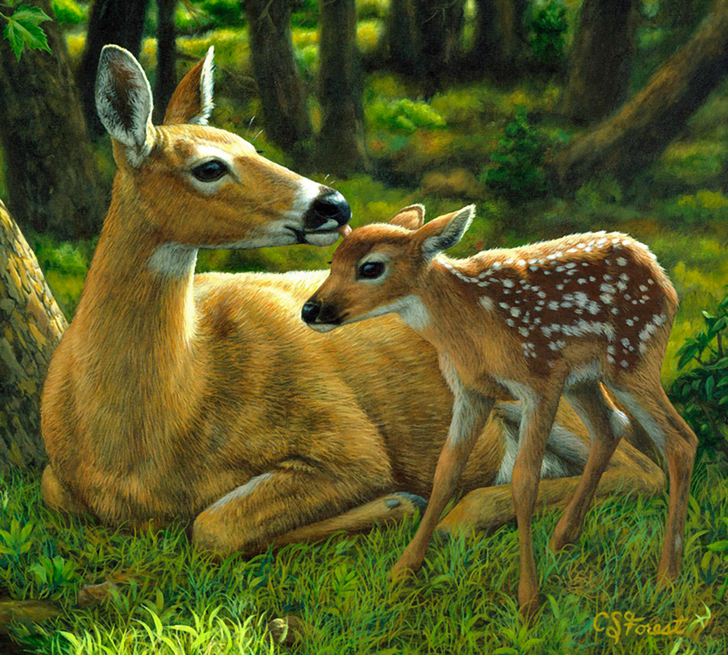 Mama Deer and her Fawn by Crista Forest