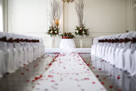 wedding petal man made room HD Desktop Wallpaper | Background Image